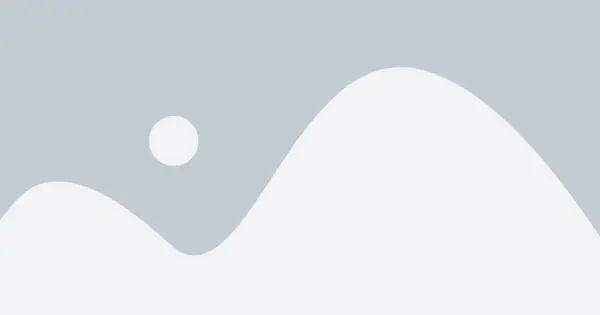 Art Exhibition and Auction